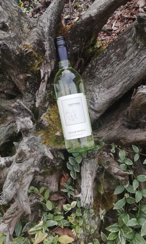 WhatsApp Image 2020-02-24 at 13.48.46